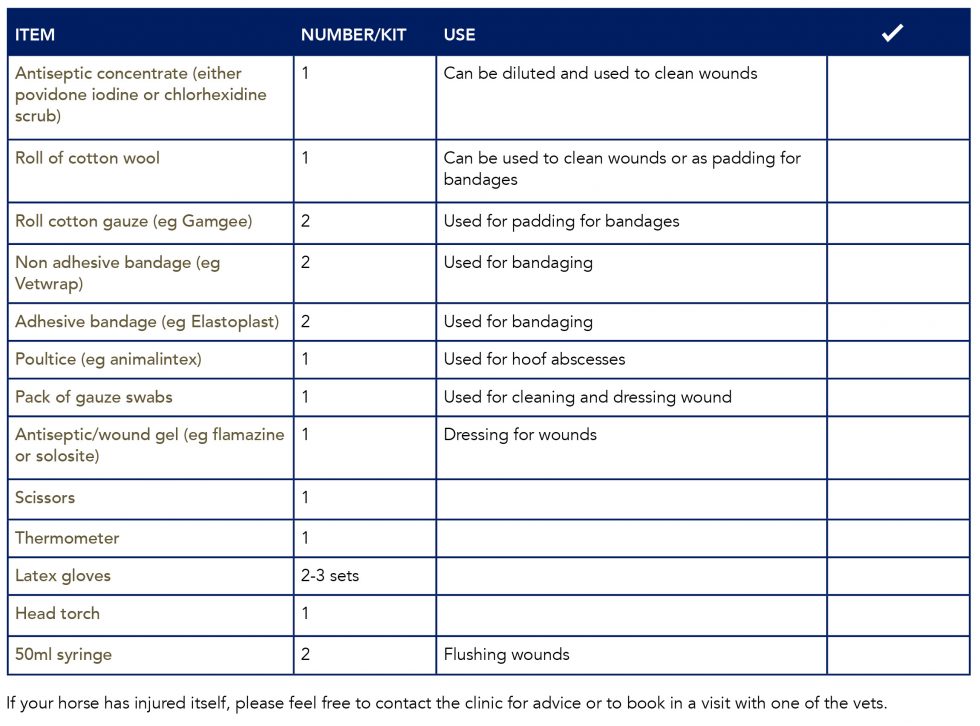 Cub Scout First Aid Kit Checklist